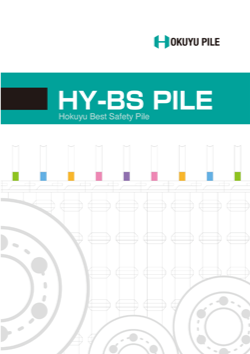 HY-BSPILE